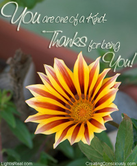 thankfulness flower